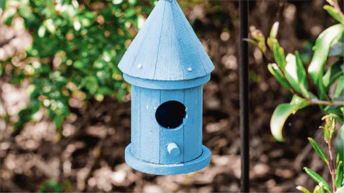 bird house