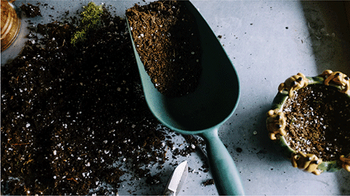 potting soil.