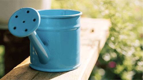 watering can